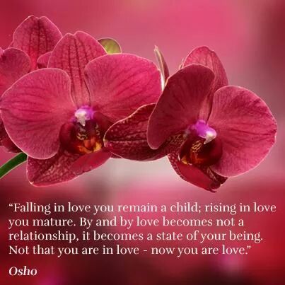 rec_(23_02_2016)_Dr.Blues+Osho-Poiščite svoj izvirni izraz-Radost nevarnega življenja+Bog je u potarzi za vama-Dobro i Zlo