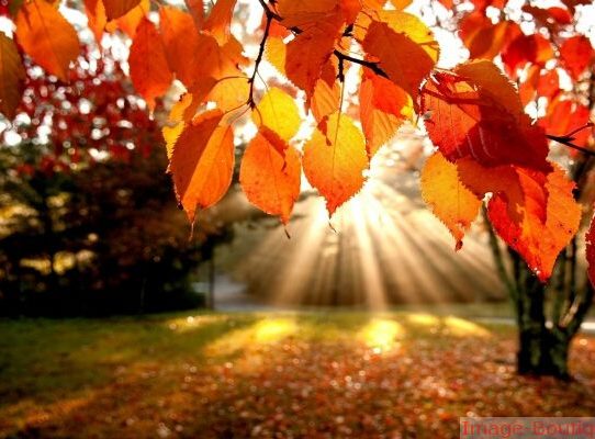 rec_(21_09_2016)_Balkan express- Jesen stiže, a energija se polako diže-Mix d.j.Žica