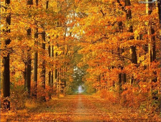 rec_(26_10_2016)_Balkan express- Jesenski duh je zamiksao dan