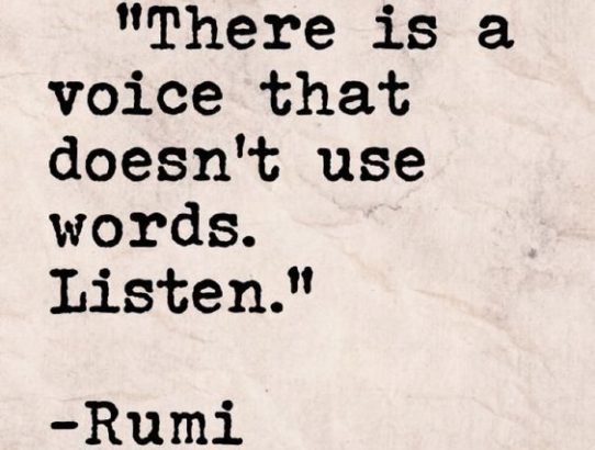 rec_(17_01_2017)_Dr.Blues - Osho - Začetek novega življenja(Slo) + Instinkt!Intelekt!Intuicija!(Yu)