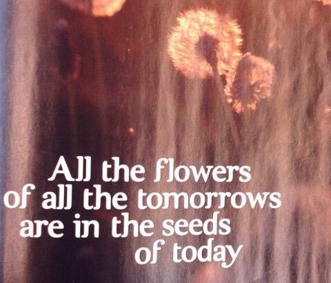 rec_(21_11_2017)_Oddaja Dr.Blues - Osho-Transcendentalni princ(Slo) + Osho-Mnogo bolesti, jednak lijek(Yu) + Osho