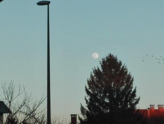 rec_(20_02_2019)_Oddaja Balkan express - polne lune mix ex&new Yu muske