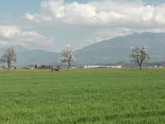 rec_(17_04_2019)_emisija Balkan express - TOP 10 EX YU NEW lista + priča koju vam priča čiča d.j.Žica