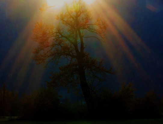 rec_(06_11_2019)_oddaja Balkan express - TOP 10 EX YU NEW lestvica + čustveni mix d.j.Hodges