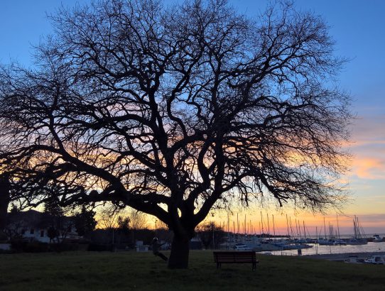 rec_(26_02_2020)_oddaja Balkan express - TOP 10 EX YU NEW lestvica + Maida zgodba na kratko + muska do konca mix