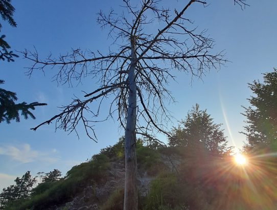 rec_(11_08_2021)_Oddaja Balkan express na Radiu Žica - TOP 10 EX YU NEW Lestvica + močna sporočila v glasbi, ki je nastajala in še vedno nastaja v exYugi