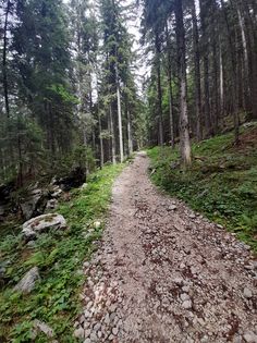 rec_(08_09_2021)_Emisija Balkan express na Radiu Žica i jake poruke u jakim pjesmama + TOP 10 EX YU NEW Lista ' Zahvala Nedeljku Petroviću za donaciju za Radio Žica i pozdrav u Australiju