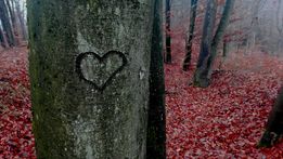 rec_(03_11_2021)_Oddaja Balkan express na spletnem Radiu Žica in objava zmage nad virusom + TOP 10 EX YU NEW Lestvica + čustveni mix do konca