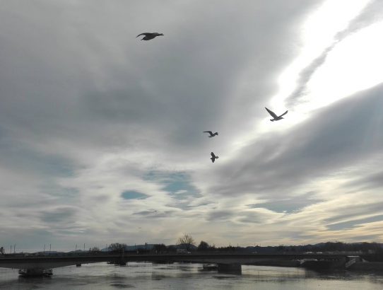 rec_(25_11_2021)_Oddaja Dr.Blues -Opozorilo pravnice Martine Kos(CISP) o trojanskem konju, ki se skriva v PKP10 + zgodba o pogumu(Slo)+Sufi priča o rijeci(Yu)