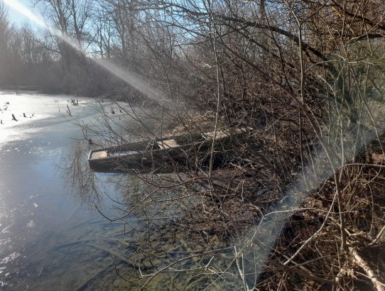 rec_(26_01_2022)_Emisija Balkan express na Radiu Žica i TOP 10 EX YU NEW Lista+ muzika ex Yu sa jakim porukama