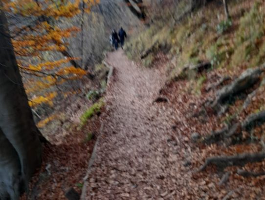 rec_(28_11_2023)_Oddaja Dr.Blues - Robovanje-Halil Đ.(Yu)+ Kako v temi odkriti luč-(Slo)+ Prerokov vrt-HalilĐ.(Yu)