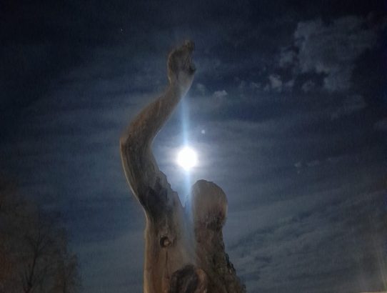 rec_(26_12_2023)_Oddaja Dr.Bluez - Odkada te nema-M.Sirbić(Yu)+Poiščimo pot-Zgodbe Srca in Duše(Slo)+Prerokov vrt-Halil Đ.(Yu)+ Vera ali nespamet-Zgodbe Srca in Duše(Slo)+Knjiga Znanja(Slo)