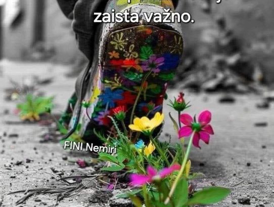 rec_(12_02_25)_emisija Balkan express - TOP 10 EX YU NEW Lista +životne mudrosti kroz muziku