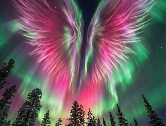 rec_(09_12_25)_oddaja Dr.Blues-Virusi-Kako izbrati prava zelišča-S.Lončar(Slo)+Misao prethodi stvorenom-K.Z.(Yu)+MEMORANDUM Slo.narodu-Uvod(Slo)+Olupite čebulo-Osho(Slo)