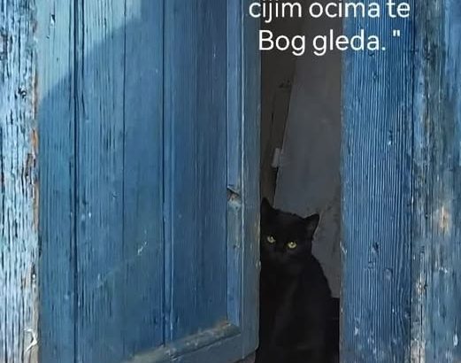 rec_(10_03_26)_oddaja Dr.Blues-Črni bezeg-miti in kaj učinki-S.Loncar(Slo)+Objava Peru Zlatnog Doba-K.Znanja(Yu)+Sporočilo-Začetna Moč-K.Z.(Slo)