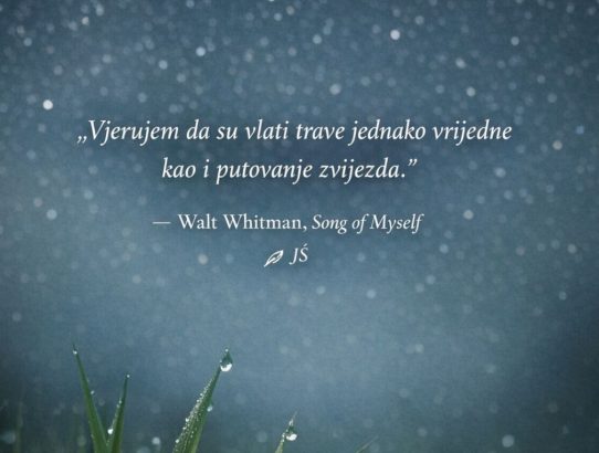 rec_(17_03_26)_oddaja Dr.Blues-Česen-izganjalec (hudiča-vampirjev)-Kaj je v česnu-S.Lončar(Slo)+Ljudsko biče, evolucija i dalje-B.Corak(Yu)+Osho(Slo)